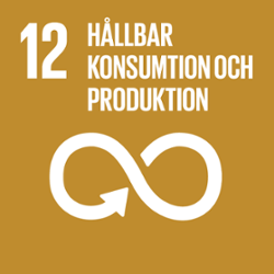12-hallbar-konsumtion-och-produktion-1